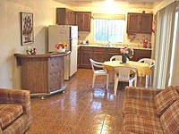 Dining/Kitchen Area